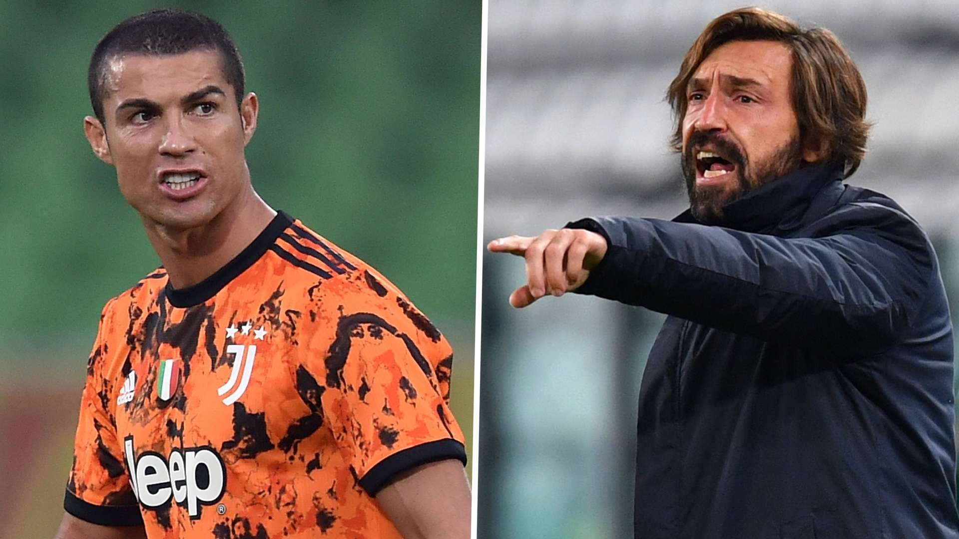 破解森林狼 破解森林狼